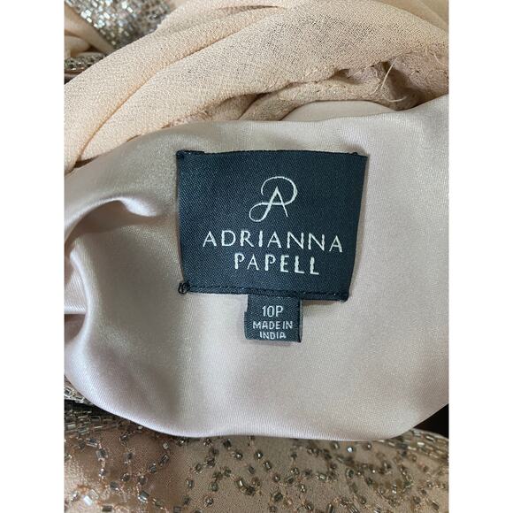ADRIANNA PAPELL DRESS 10P GOWN TAUPE PINK SEQUIN BEADED LONG FORMAL MAXI EVENING - Picture 4 of 15